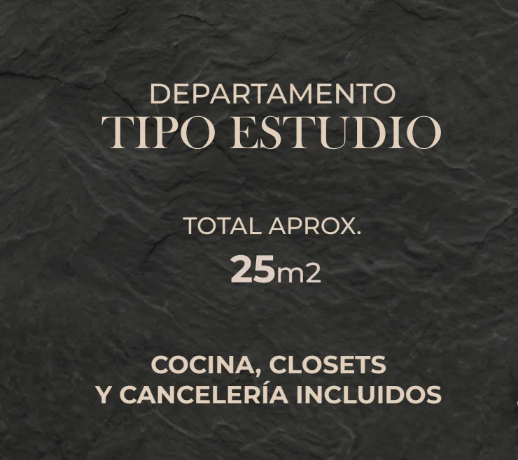 Estudio de aprox. 25 m² con cocina, clósets y cancelería incluidos – estudio en preventa en Playa del Carmen